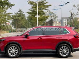 Xe Honda CRV L 2023