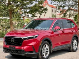 Xe Honda CRV L 2023