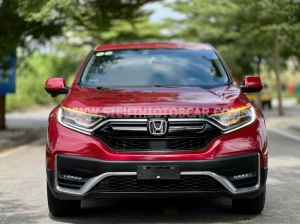 Xe Honda CRV L 2023